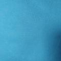 Bleu canard