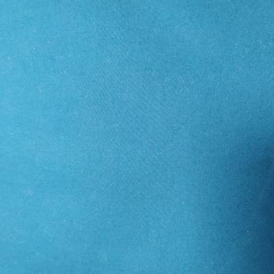 Bleu canard